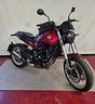 benelli-leoncino-500-trail