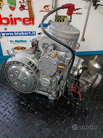 motore kart kz TM kz10