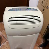 Condizionatore pinguino