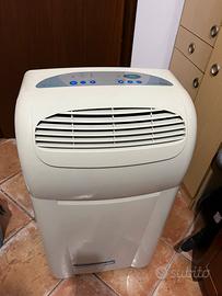 Condizionatore pinguino