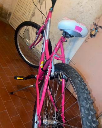 Bicicletta