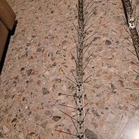 DISSUASORI PER PICCIONI