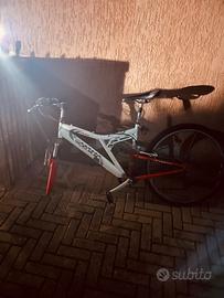 Telaio bici