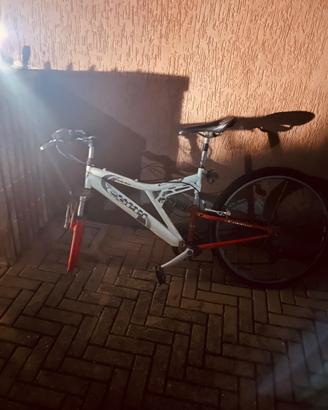 Telaio bici