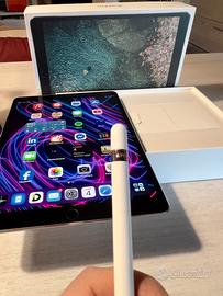 Ipad Pro 10.5 256 Giga.( inclusa Apple pen ).