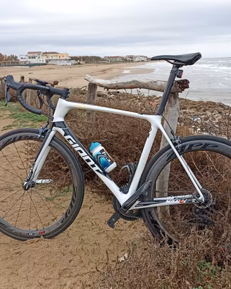giant TCR 