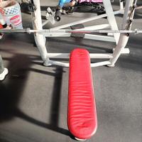 PANCA PIANA con portabilancieri e altre