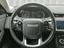 Immagine 12