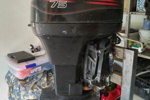 Fuoribordo mercury elpto 75