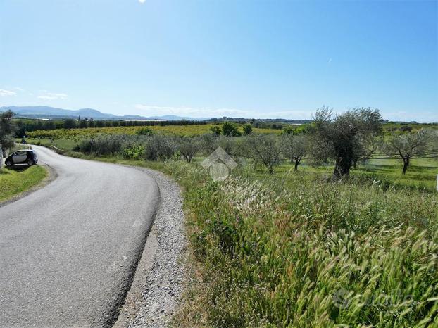 TER. AGRICOLO A POLICORO