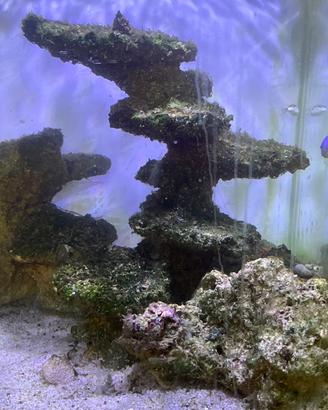 Rocce acquario marino