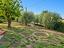 Immagine 21