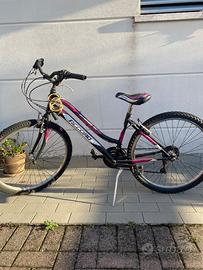 Bicicletta