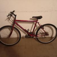 Mountain bike misura ruota 24/26