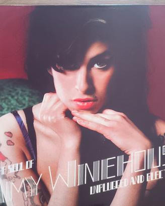 The Soul of Amy Winehouse Unplugged 