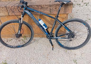 bici 29  