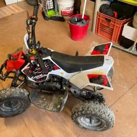 Mini quad / quad per bimbj