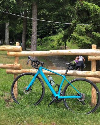 Canyon Endurance CF SL shimano 105