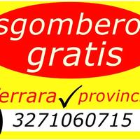 Sgombero tutto ferrara e provincia 3271060715
