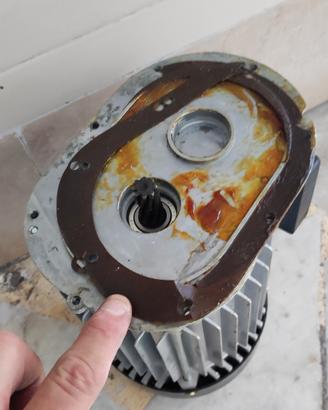 motore asincrono 220V   1400W  