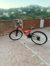 Mountain Bike Rollmar Predator