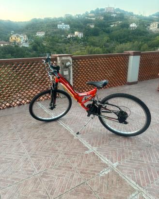 Mountain Bike Rollmar Predator