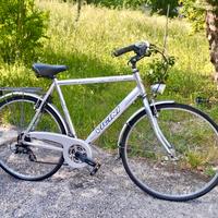 Bicicletta Vicini