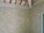 Immagine 28