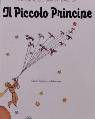 Il Piccolo Principe Antoine de Saint-Exupéry