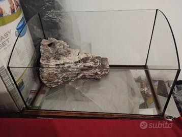 Acquario per tartarughe
