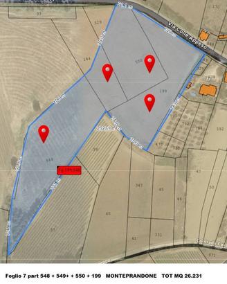 Terreno agricolo - Monteprandone