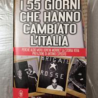 I 55 giorni che hanno cambiato l' Italia