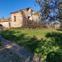 Rustico antico con vigneto