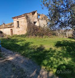 Rustico antico con vigneto