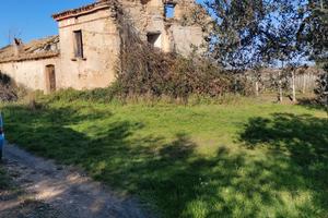 Rustico antico con vigneto