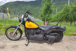 Harley Davidson Softail Night Train