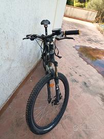 bicicletta elettrica 