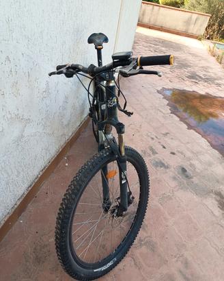 bicicletta elettrica 