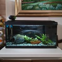 Acquario completo 80 lt