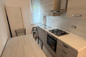 Posti letto zona Bocconi Ied NABA IULM