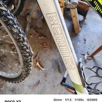 Mountain Bike BEMMEX VERTICAL