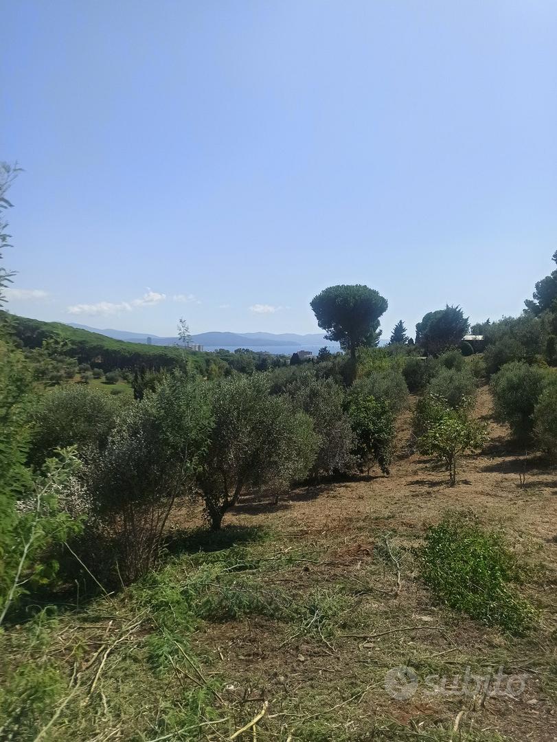 Rif.TER24| terreno agricolo follonica - Vista 2