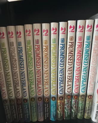 The promised neverland