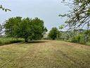 ter-agricolo-a-san-cesareo