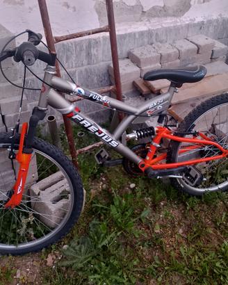 Bicicletta
