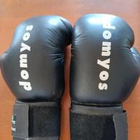 Guantoni Boxe Domyos 16 Oz