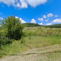 RGE 79/2024 Trib Pavia - LOTTO 2