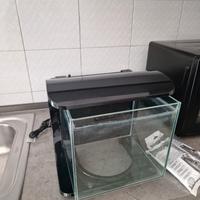 acquario tetra completo