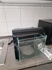 acquario tetra completo