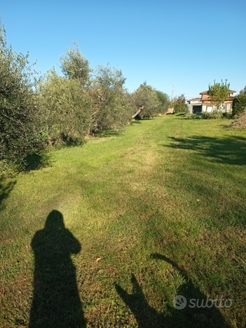 Terreno agricolo